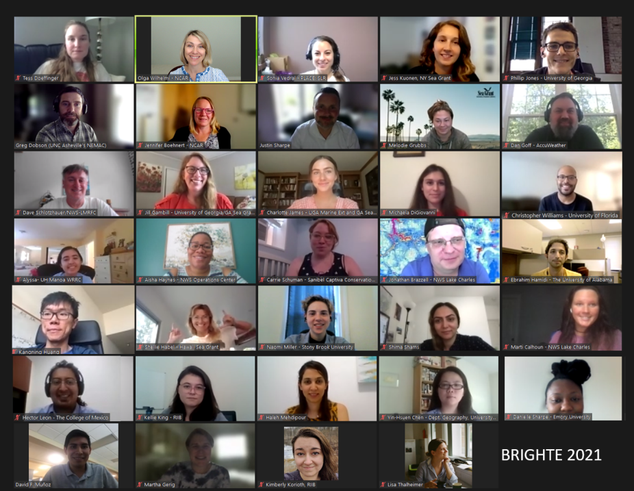 Zoom grid image of several dozen students at the Bright Workshop online training
