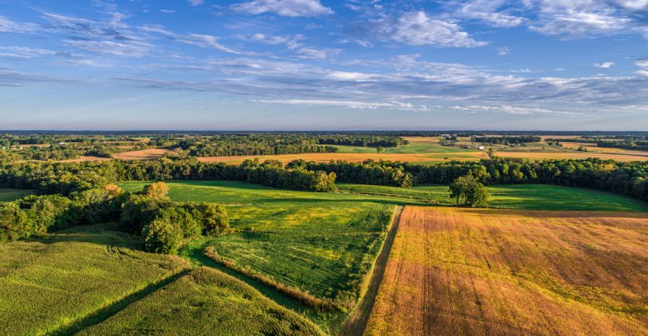 An aerial drone photo over the fields and dirt road lanes in the fields during the golden light of the morning. iStock