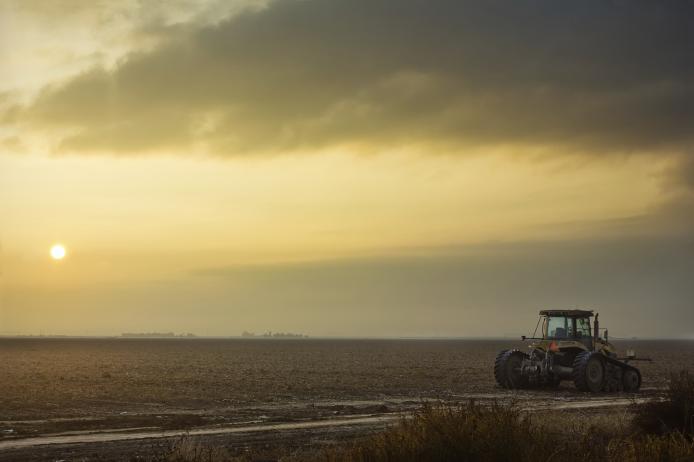 Silhouette of Tractor on Field at Foggy Dawn